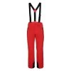 Icepeak Ski Broek Heren Noxos 645